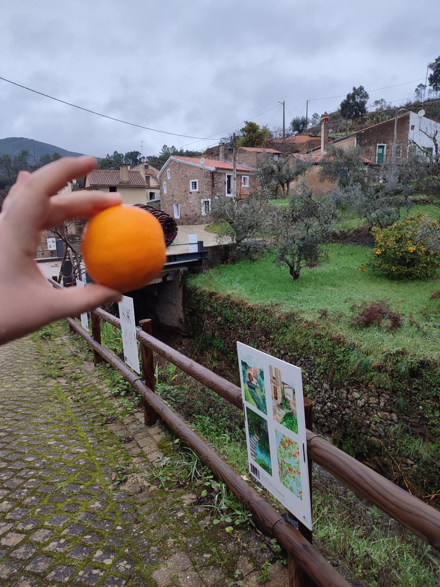 Casa Iris Cunqueiros *