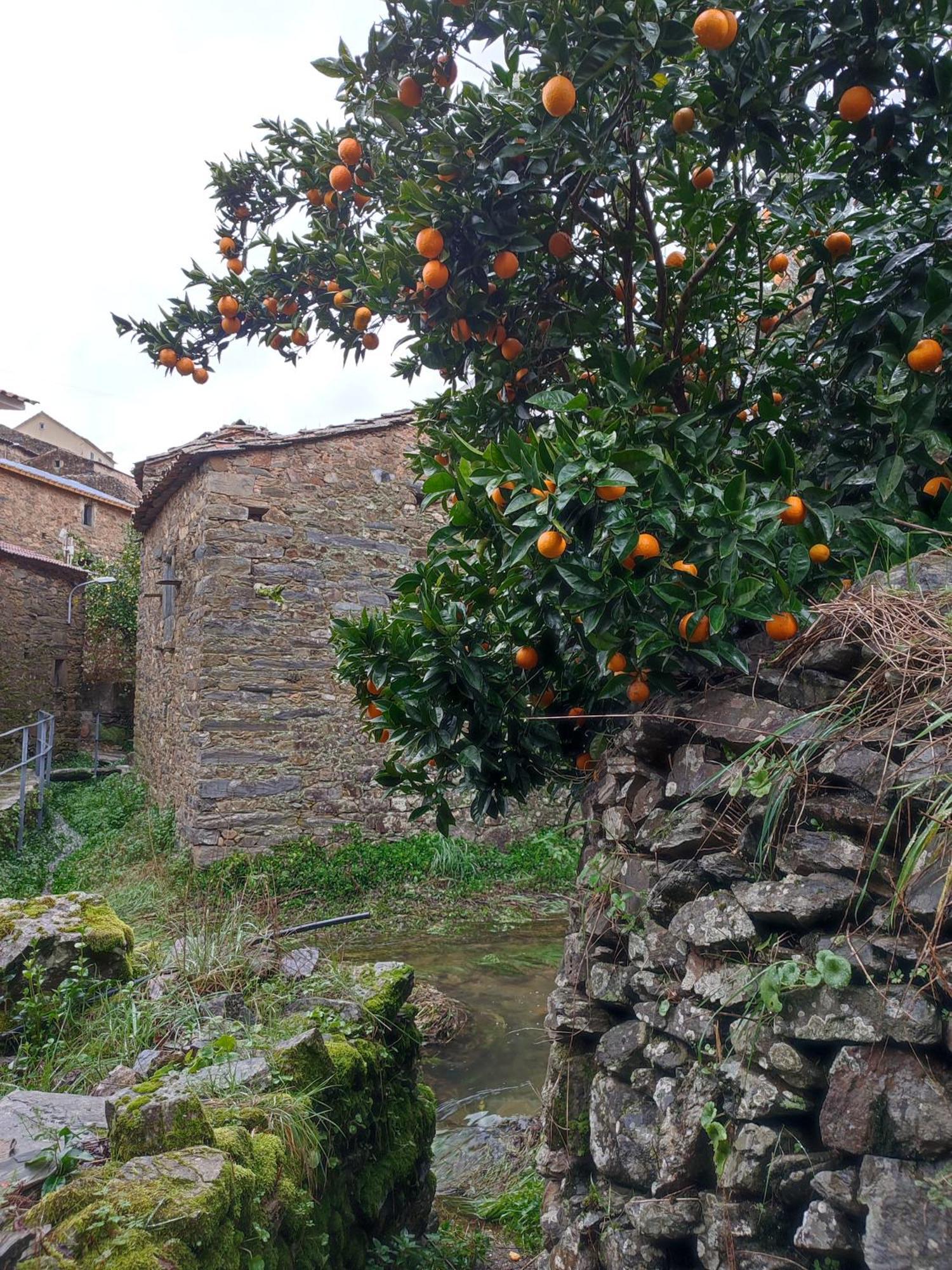 Vakantiehuis Casa Iris Cunqueiros *