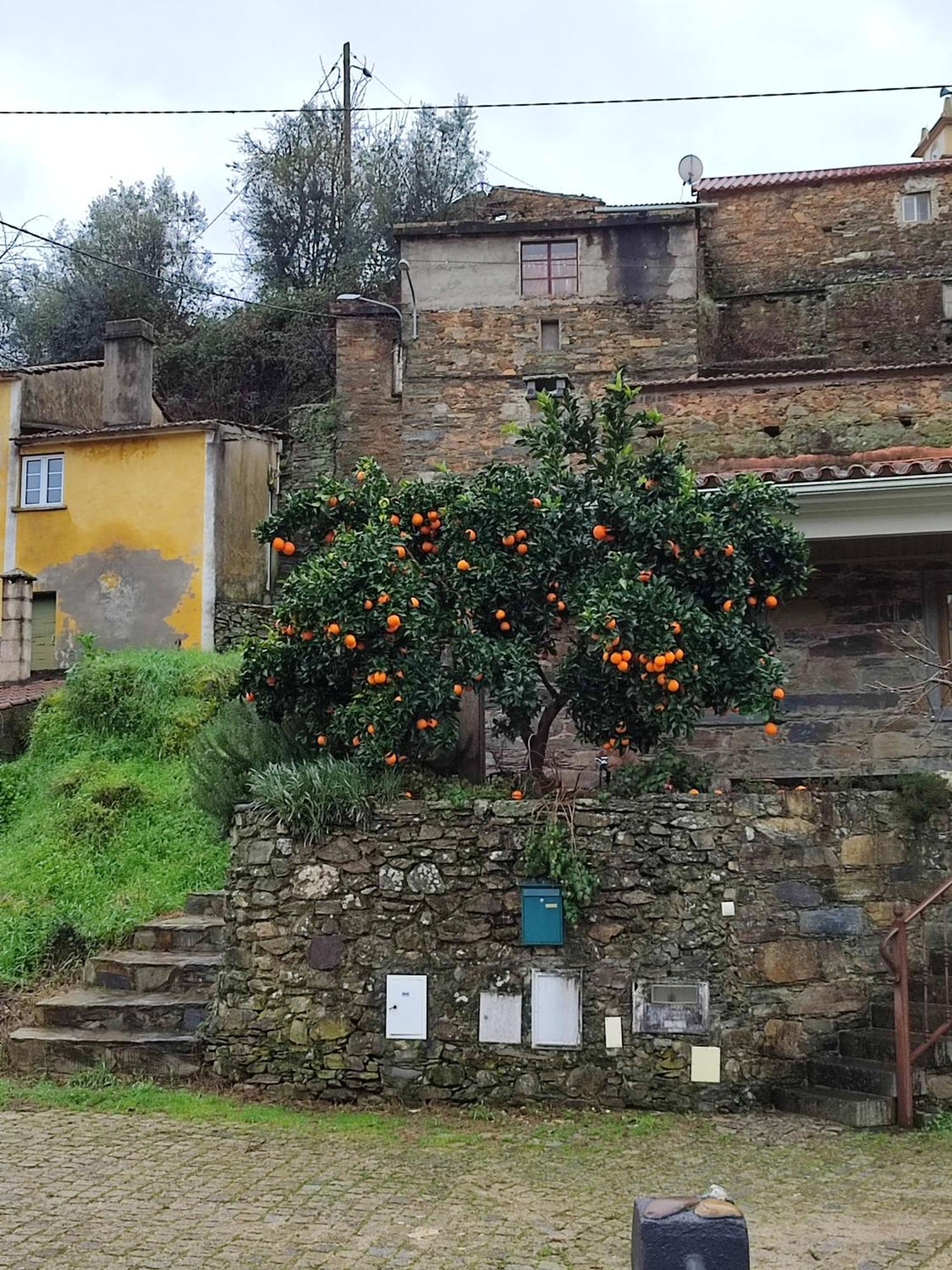 Casa Iris Cunqueiros Vakantiehuis Sobreira Formosa